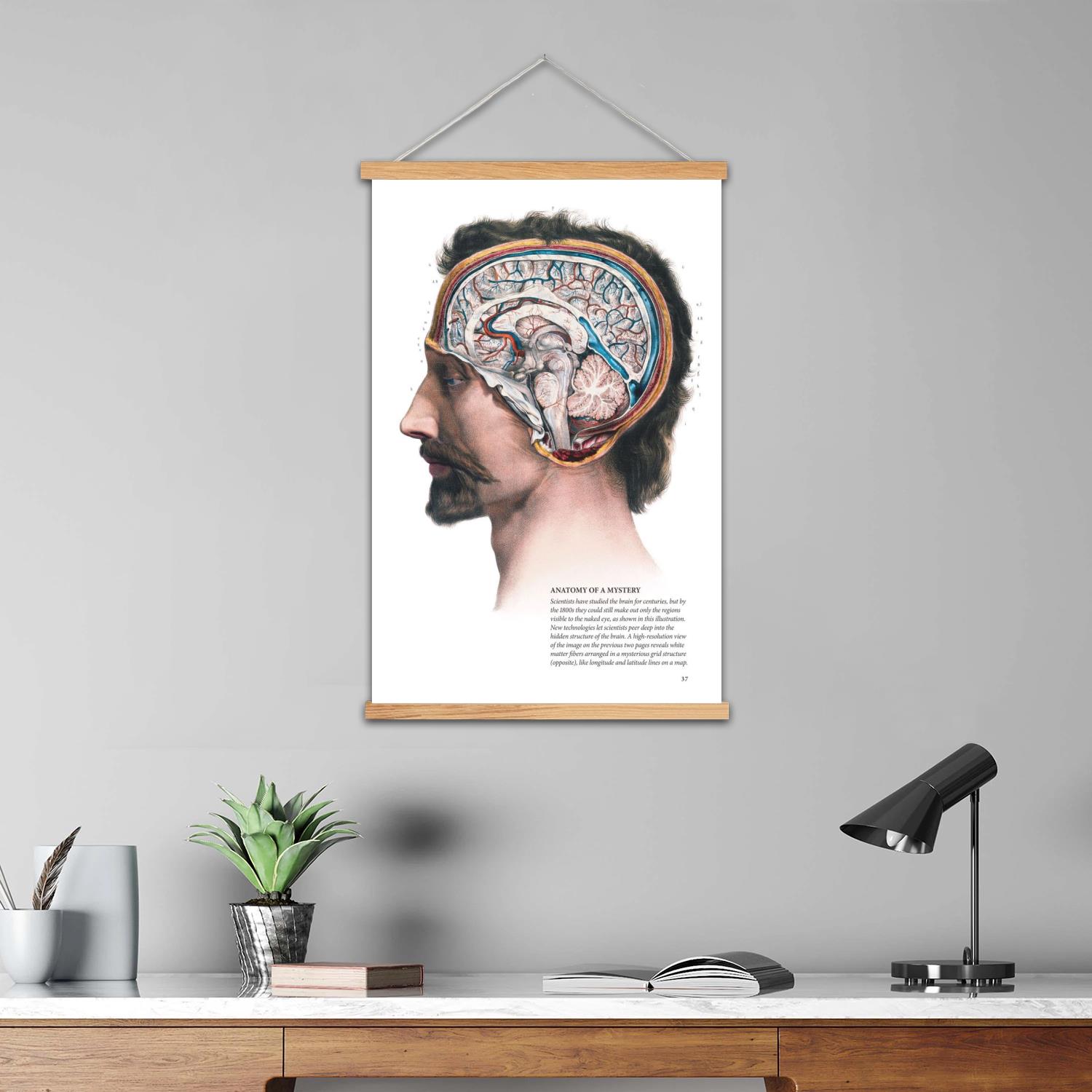 brain Framed Wall Painting Can - Art Print Framed 评论和价格
