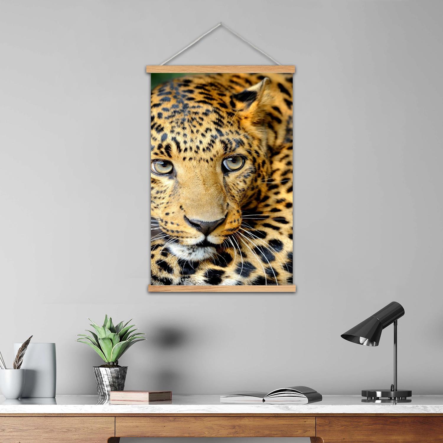 leopard print Framed Wall Pain - Art Print Framed 评论和价格