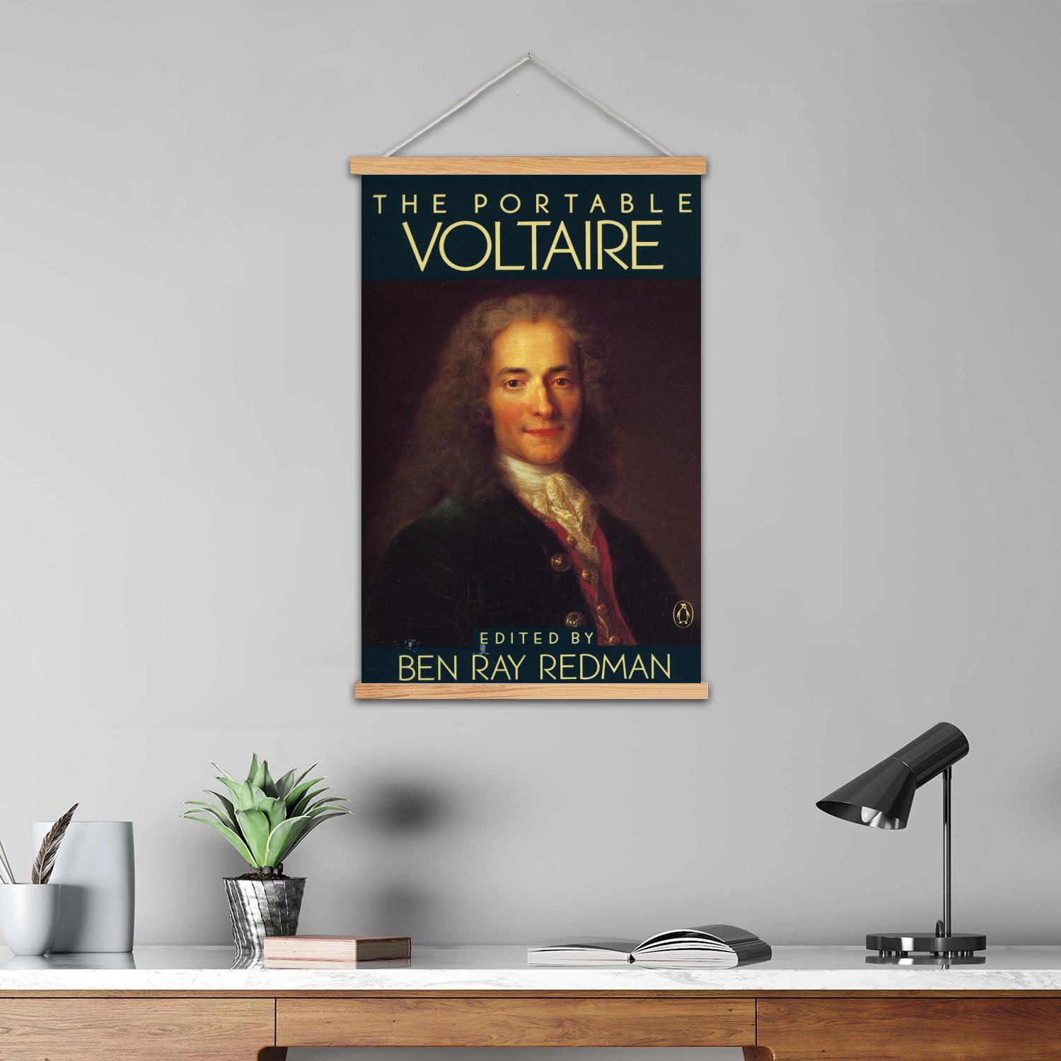 Voltaire Framed Wall Painting  - Art Print Framed 评论和价格